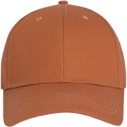 FWRD Delta Cap Tobacco